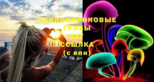 круглые Аркадак