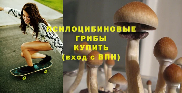круглые Аркадак