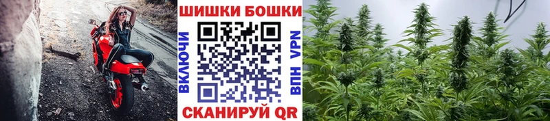 Бошки марихуана гибрид как найти закладки Няндома